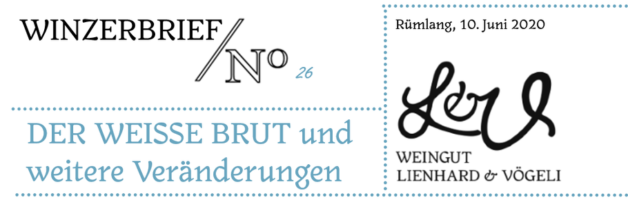 Winzerbrief Nr. 26