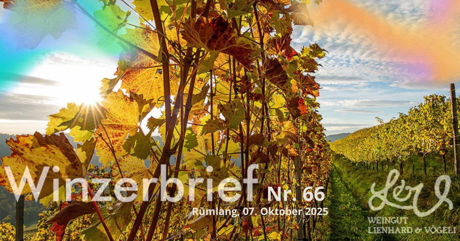 Winzerbrief Nr. 66